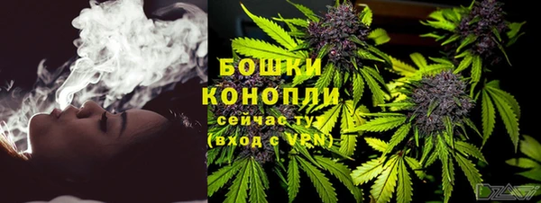 ГАЛЛЮЦИНОГЕННЫЕ ГРИБЫ Покачи