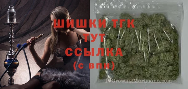 ГАЛЛЮЦИНОГЕННЫЕ ГРИБЫ Покачи